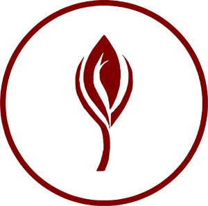La Regeneración